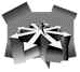 wpe31.jpg (1564 bytes)